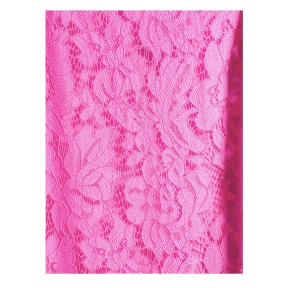 New Hot Pink lace mini dress size L - Picture 6 of 8